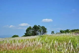 義烏的夏天哪里好玩？跟著鏡頭玩轉義烏攝影勝地