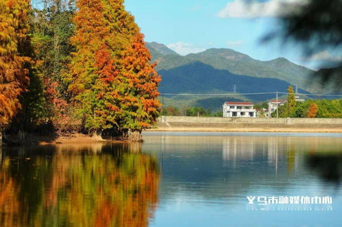 美得過分！義烏這個拍照圣地，不去一趟太可惜