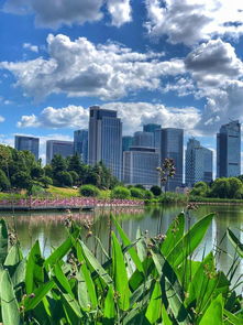 金華人眼中的世界 一一八 義烏攝影 鏡頭下的商貿(mào)脈搏與城市變遷